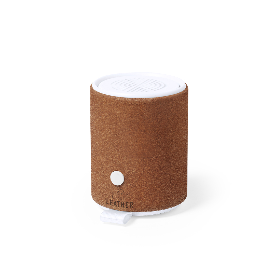 Altavoz Sotep RCS