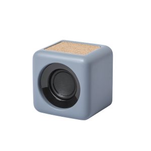Altavoz Seynol